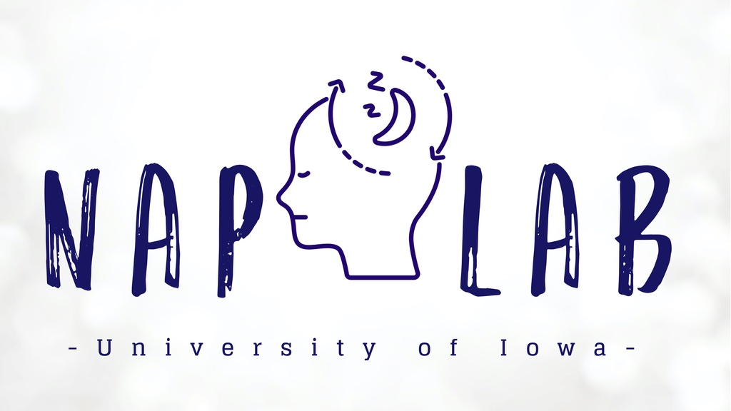 NaP Lab logo